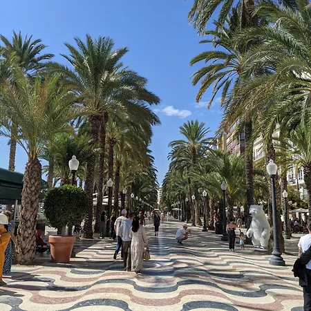 アパート Mercado - La Casa Del Arbol アリカンテ