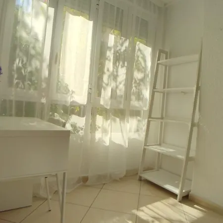 Mercado - La Casa Del Arbol