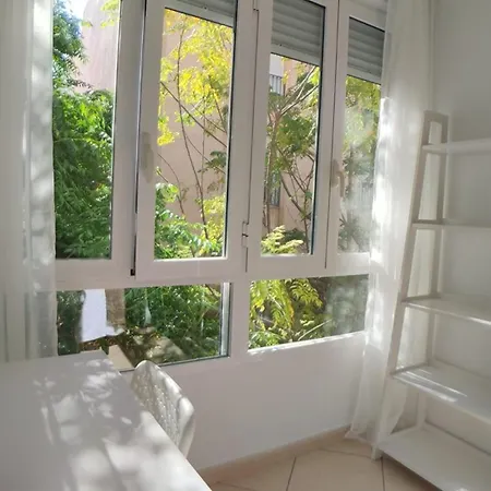 Mercado - La Casa Del Arbol * アリカンテ