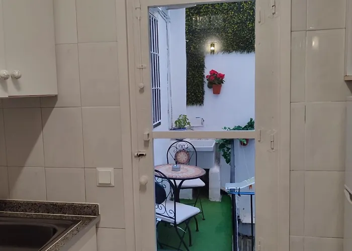 Mercado - La Casa Del Arbol Alicante